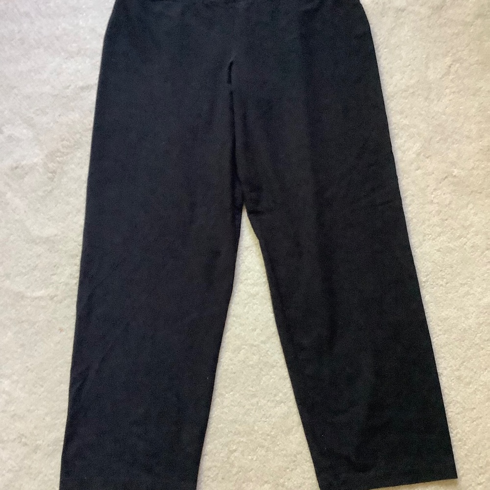 Eileen Fisher pants -size XL